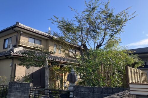 剪定完了